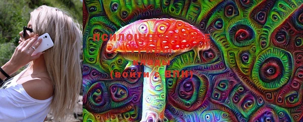 винт Нея