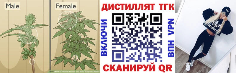 Купить  Юрьевец  Дистиллят ТГК Wax 