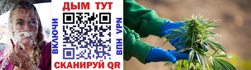 Купить где  Юрьевец  Бошки Шишки AK-47 